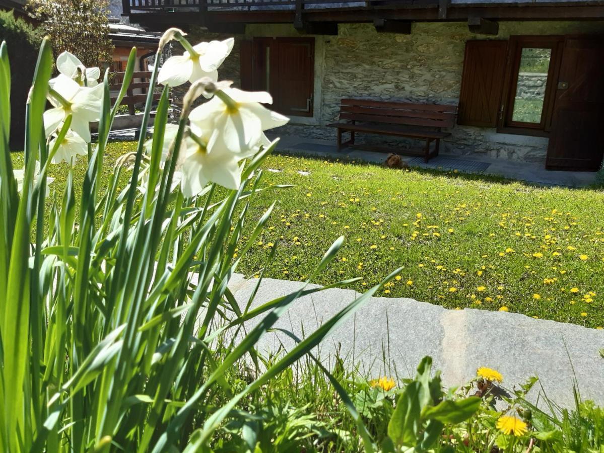 Sauze D'Oulx Ciabot La Garituela With Garden - Wifi- Close To The Chairlift Exterior foto